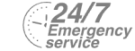 24/7 Emergency Service Pest Control in Dulwich, SE21. Call Now! 020 8166 9746