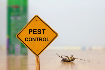 Pest Contol in Dulwich, SE21. Call Now 020 8166 9746